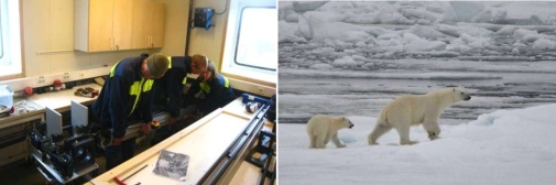 Lomrog 2009-08-02 Lomrog 2009 working on board and polar bears