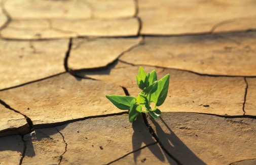 Drought hits rivers first and more strongly than agriculture. Photo: Mostphotos