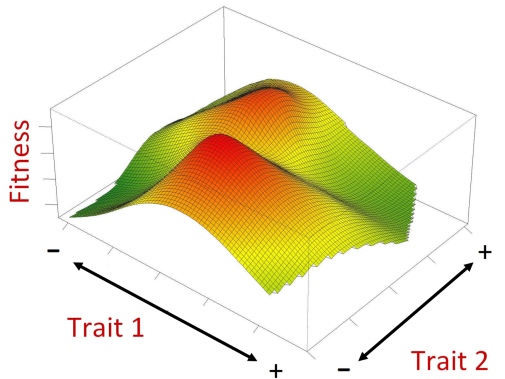 Example of selection surface