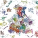 Proteiner i mitoribosomer, Alexey Amunts, Stockholms universitet