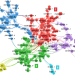 Co-authorship network in cultural evolution