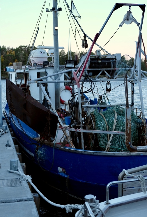 Trålfiske