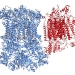 Structure of the respiratory chain supercomplex, a key enzyme for cellular energy conversion.