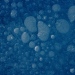Bubbles in the ice. Photo: Malin Stenberg de Serves, Antarctica.