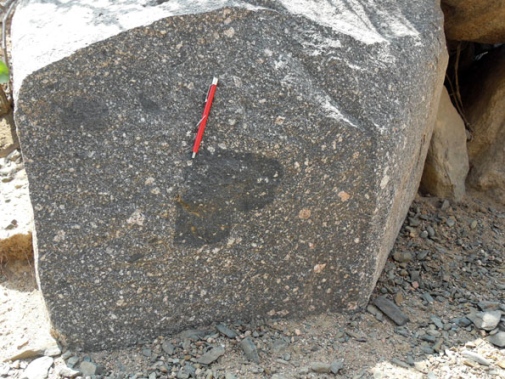 A mafic enclave in a porphyritic rock. Mafic enclaves are common features of plutonic rocks.