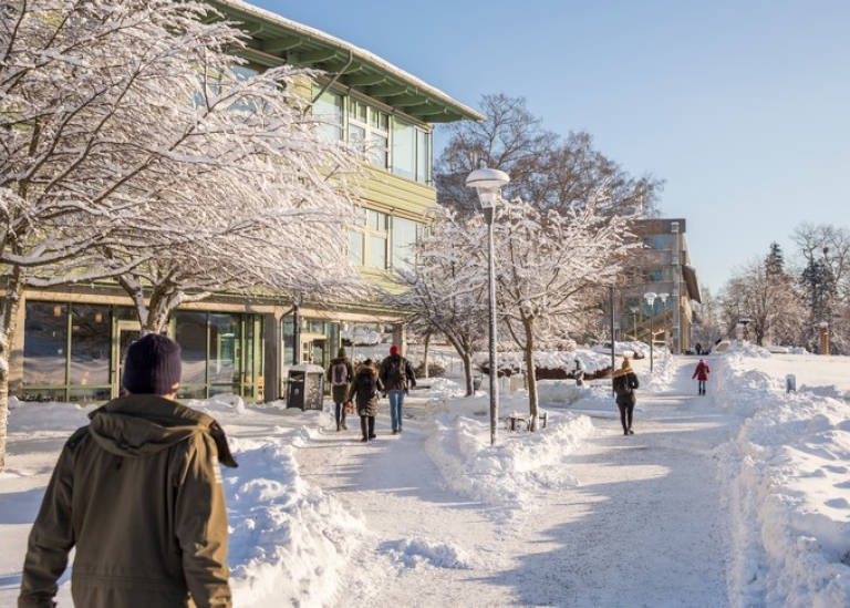 People walking on snow covered campus.