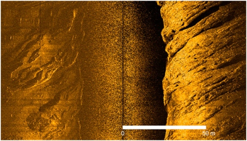 Seafloor image from a side scan sonar.