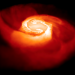 Computer simulation of a merger of two stars