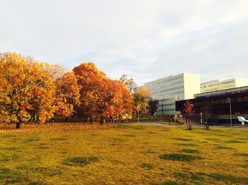 Stockholms universitet i höstfärger