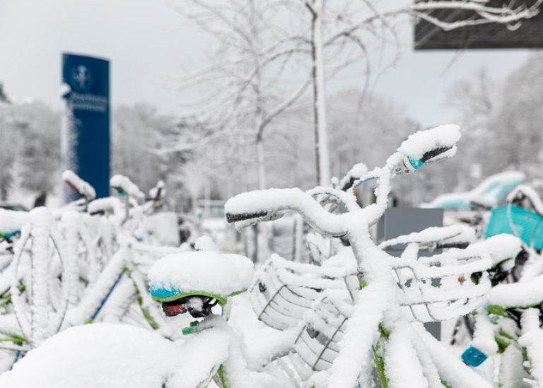 Photo: Niklas Björling Snow-covered bikes outside Studenthuset Photo: Niklas Björling