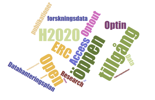word cluster