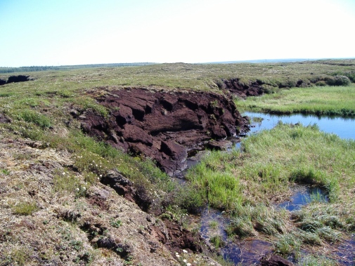 Tinande permafrost och markkollaps i Ryssland. Foto: Gustaf Hugelius