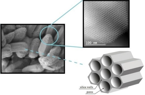 Silica particle