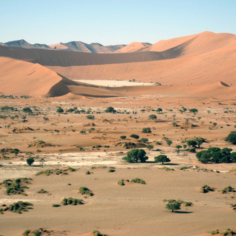 Ökenområde i Namibia. Foto Steffen Holzkämper.