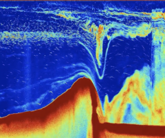 An echogram showing the bottom profile.