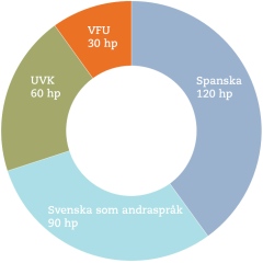 Programöversikt ämneslärare gymnasiet spanska-svenska som andraspråk (diagram)