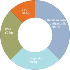 Programöversikt ämneslärare 7-9 svenska som andraspråk-engelska (diagram)