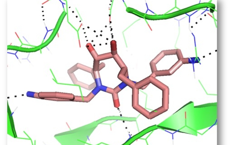 Picture of protein with inhibitor