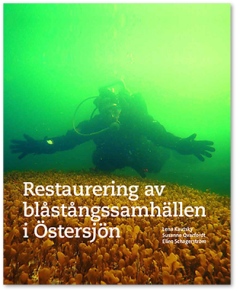 Bild på Tånghandboken