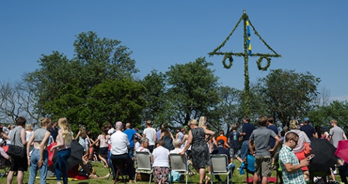 Midsommarfirande Nätverksforskning Foto: Kenneth Kullman/Mostphotos