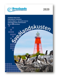 En bild på rapportens framsida