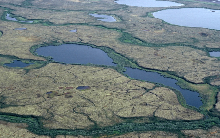 Tundrapolygons with permafrost. Photo Peter Kuhry.