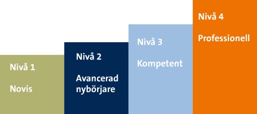 Figuren visar de 4 olika utvecklingsnivåerna: novis, avancerad nybörjare, kompetent, professionell