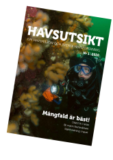 Havsutsikt nr 1, 2020. Tema: mångfald i havet