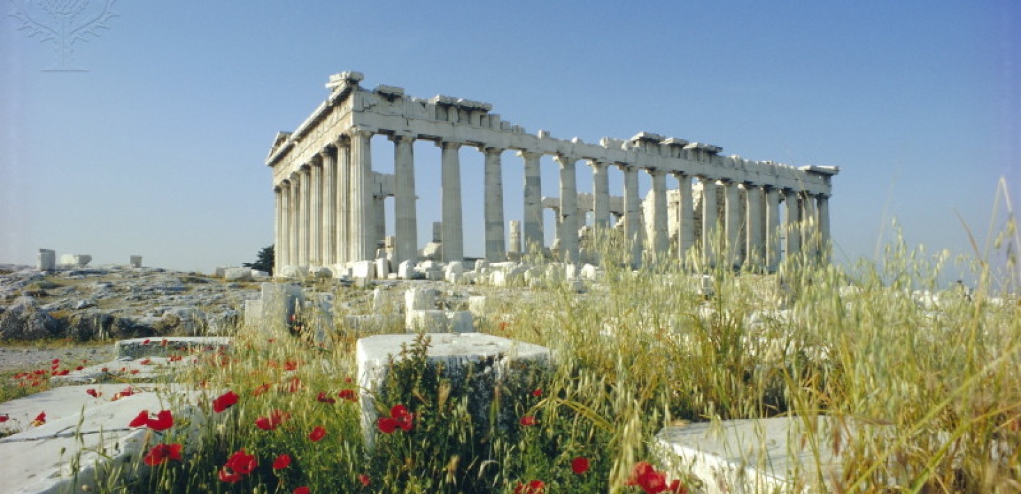 Parthenontemplet på Akropolis, Athen med vallmo i förgrunden.