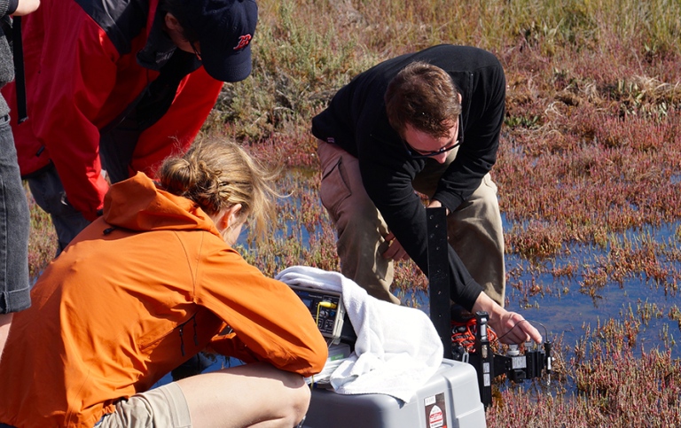 Students taking water samples
