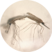 Two mosquitos mating