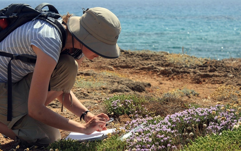 Field work with focus on Ecohydrology.