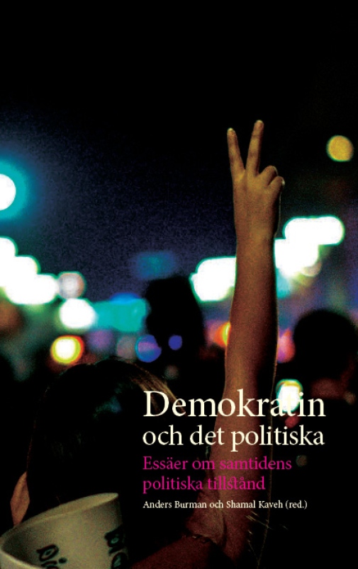Bokomslag Demokratin och det politiska