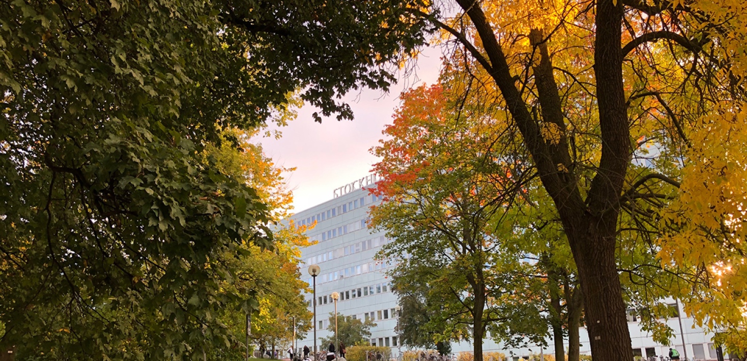 Autumn in campus Frescati. Photo: Helene Komlos Grill