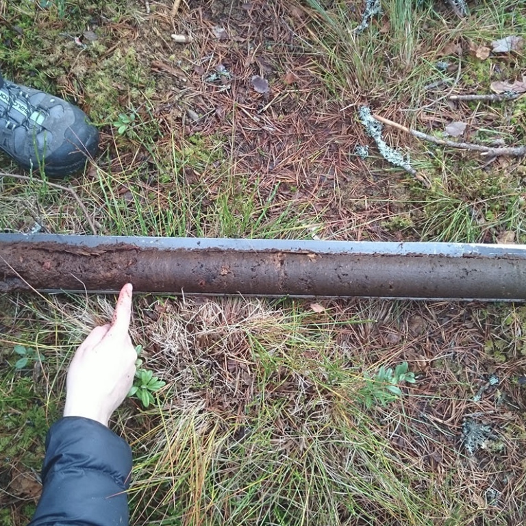 Natural peat archive. Photo Britta Sannel. 