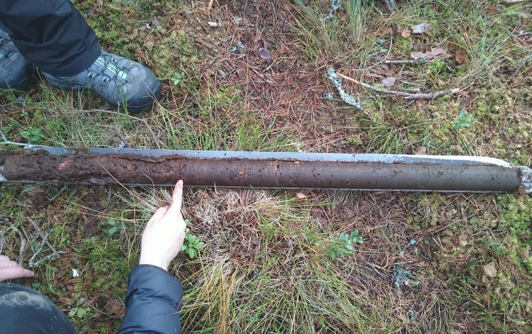 Natural peat archive. Photo Britta Sannel. 