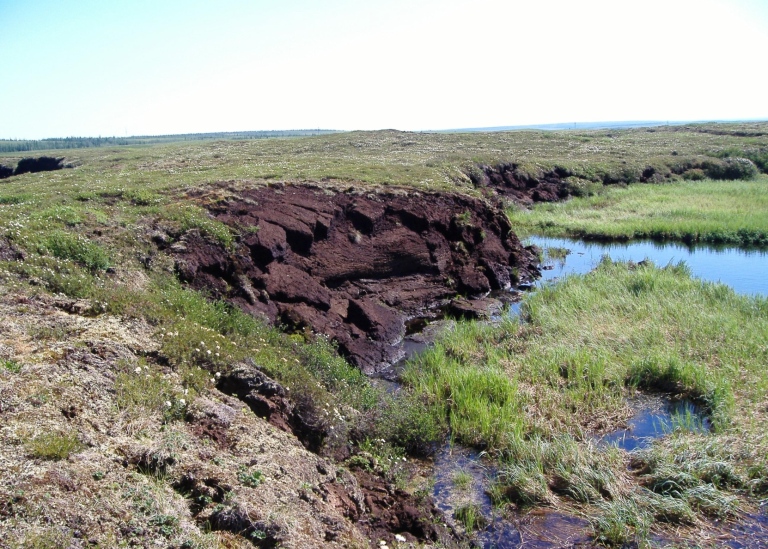 Eroding permafrost. Foto: Gustaf Hugelius