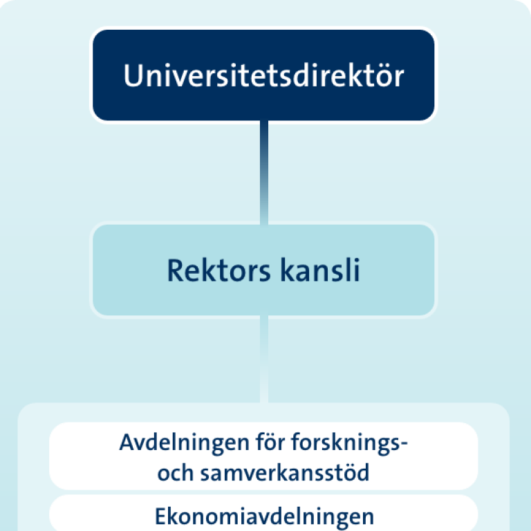 organisationsschema förvaltning