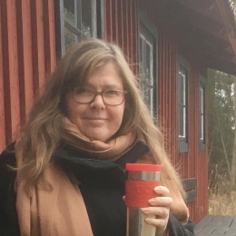 Ann 3