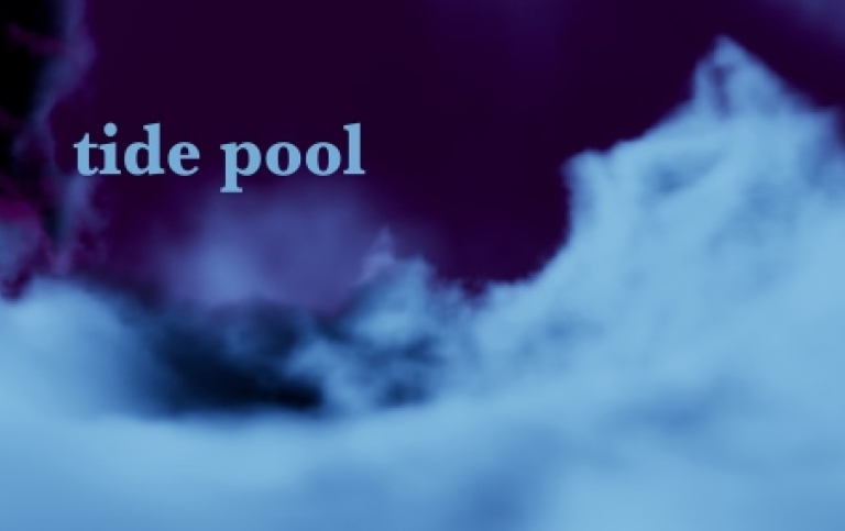 Tide Pool