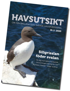 Havsutsikt, nummer 2 2020