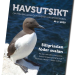 Havsutsikt, nummer 2 2020