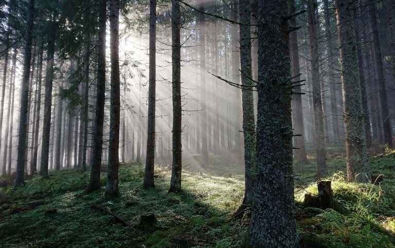 Tellus III - Naturgeografi i Värmland