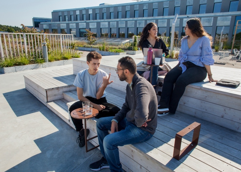 Studenter sitter och diskuterar vid Albano