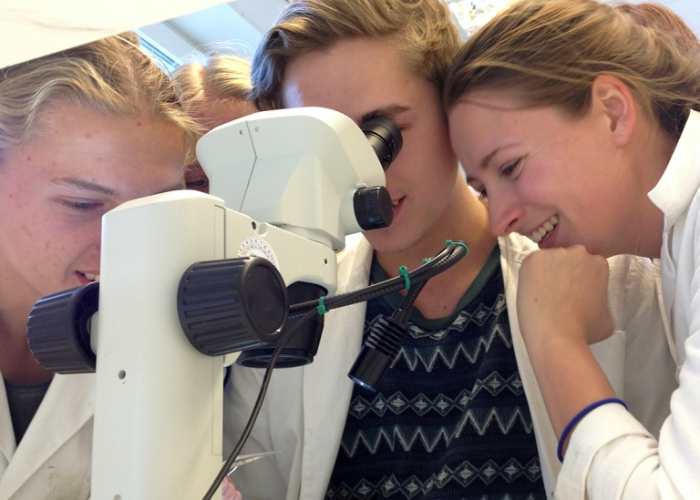 Studenter vid ett mikroskop