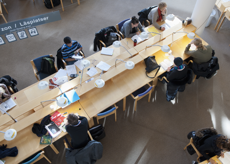 Students studying, view from above.