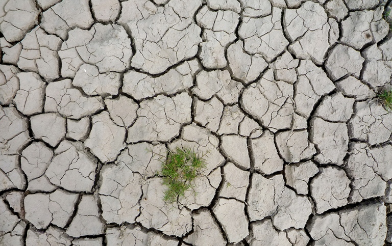 Dry soil. Photo: Barbara Wohlfarth