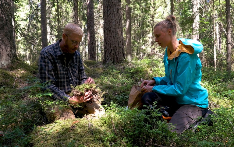 Kristoffer Hylander och doktoranden Irena Koelemeijer