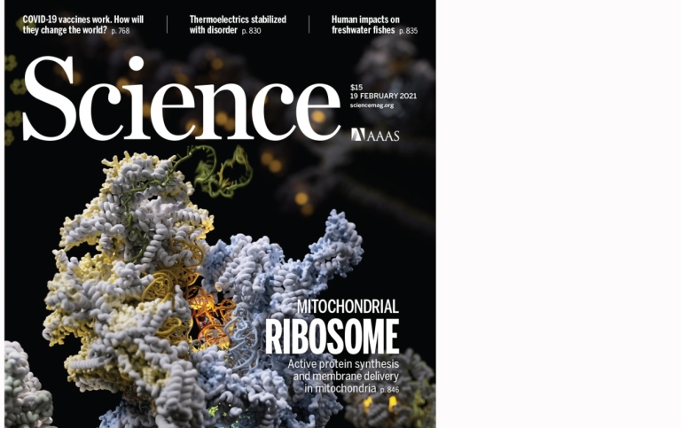 Science cover 