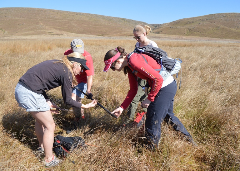 4 researchers doing field work in south africa